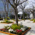 Busan transforma embelezamento urbano com a iniciativa ‘Sodam Garden’