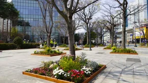 Busan transforma embelezamento urbano com a iniciativa ‘Sodam Garden’