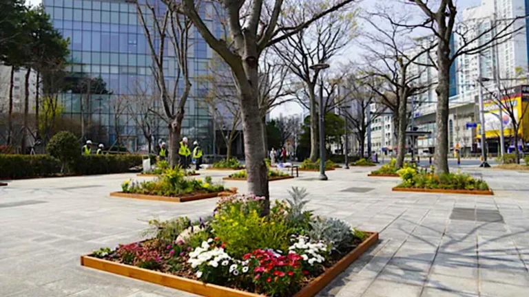 Busan transforma embelezamento urbano com a iniciativa ‘Sodam Garden’