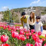 Descubra os melhores locais para caminhar em Gimhae na primavera