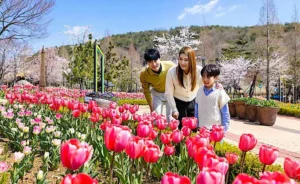 Descubra os melhores locais para caminhar em Gimhae na primavera