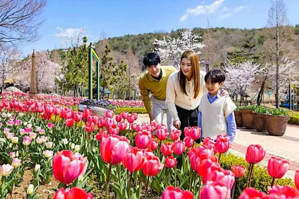 Descubra os melhores locais para caminhar em Gimhae na primavera