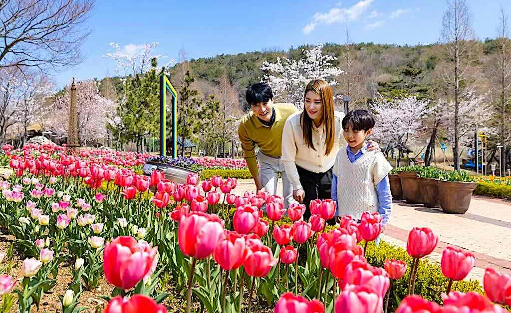 Descubra os melhores locais para caminhar em Gimhae na primavera