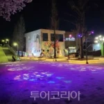 BTS transforma Goyang em capital do k-pop durante show inesquecível