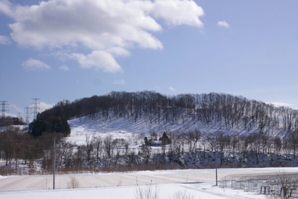 suzuki yujin Perfis I9 Artigos