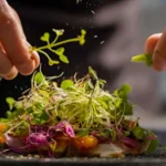 Busan gourmet selection 2026 apresenta colaborações exclusivas de restaurantes renomados