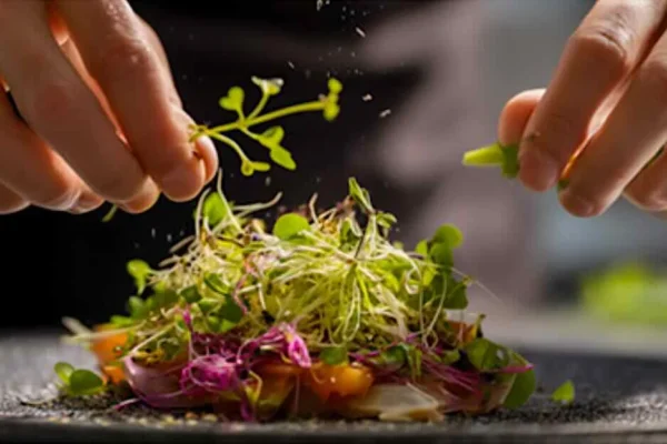 Busan gourmet selection 2026 apresenta colaborações exclusivas de restaurantes renomados