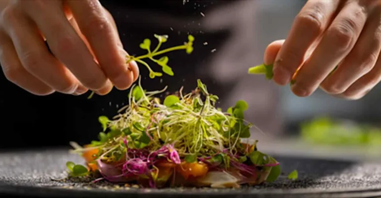 Busan gourmet selection 2026 apresenta colaborações exclusivas de restaurantes renomados