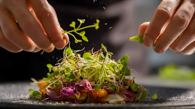Busan gourmet selection 2026 apresenta colaborações exclusivas de restaurantes renomados