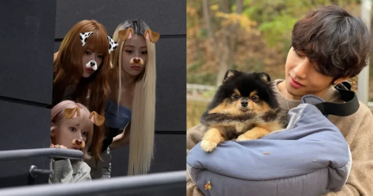 LE SSERAFIM gera polêmica ao usar cães de V do BTS em desafio de dança