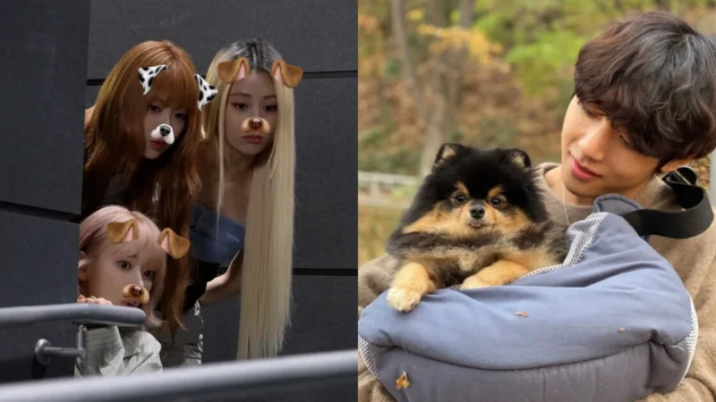 LE SSERAFIM gera polêmica ao usar cães de V do BTS em desafio de dança