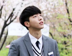 Nam Joo Hyuk