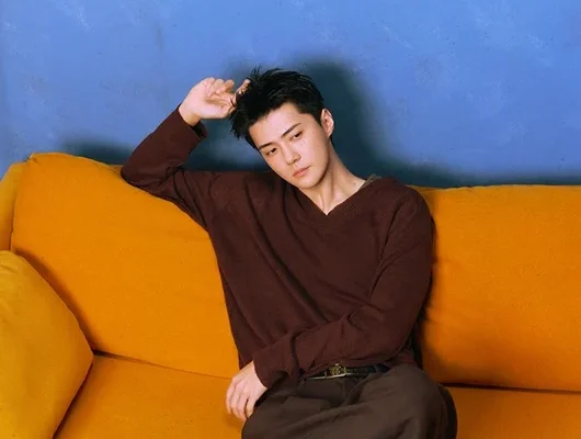 Sehun do EXO e NCT WISH lançam single 'Fade' após turnê de sucesso