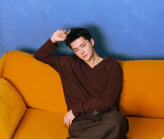Sehun do EXO e NCT WISH lançam single ‘Fade’ após turnê de sucesso