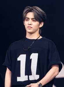 Scoups